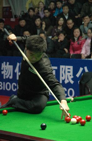 的足球世界 的足球世界